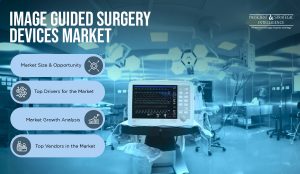 Image Guided Surgery Devices Market (1)