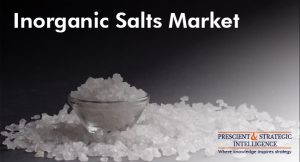 Inorganic Salts Market