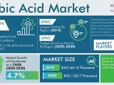Sorbic Acid Market